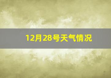 12月28号天气情况