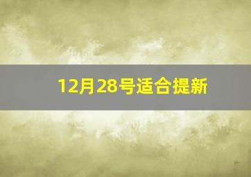 12月28号适合提新