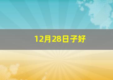 12月28日子好