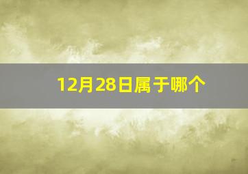 12月28日属于哪个