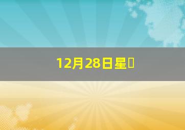 12月28日星�