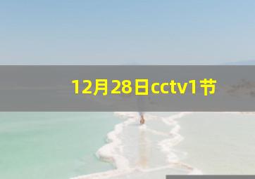 12月28日cctv1节