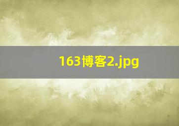 163博客