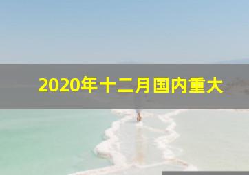 2020年十二月国内重大