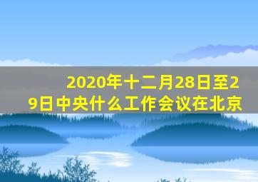 2020年十二月28日至29日中央什么工作会议在北京
