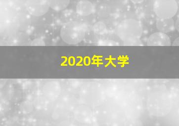 2020年大学