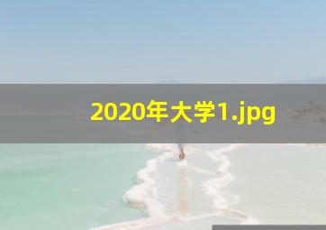 2020年大学