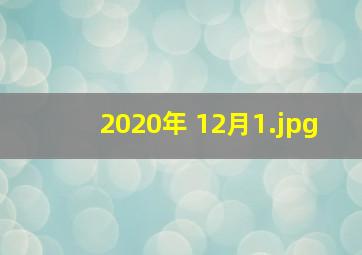 2020年 12月