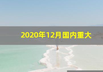 2020年12月国内重大