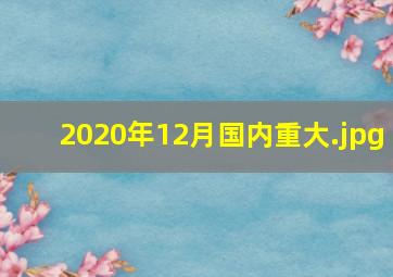 2020年12月国内重大