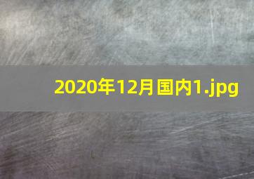 2020年12月国内