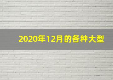 2020年12月的各种大型