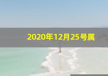 2020年12月25号属