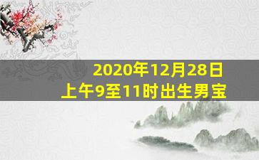 2020年12月28日上午9至11时出生男宝