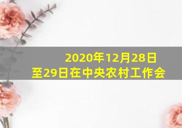2020年12月28日至29日在中央农村工作会
