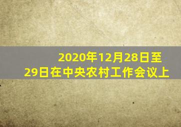 2020年12月28日至29日在中央农村工作会议上