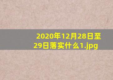 2020年12月28日至29日落实什么