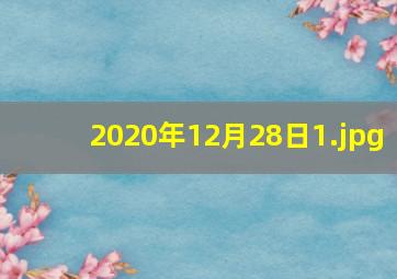 2020年12月28日