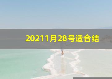 20211月28号适合结