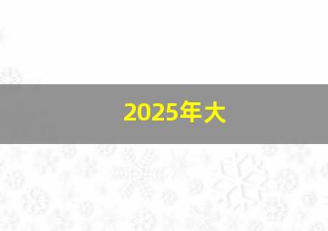 2025年大