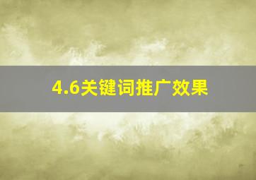 4.6关键词推广效果