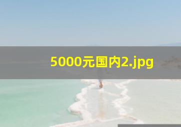5000元国内