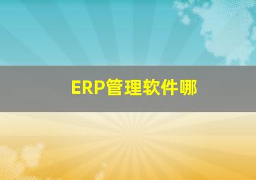 ERP管理软件哪