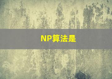NP算法是