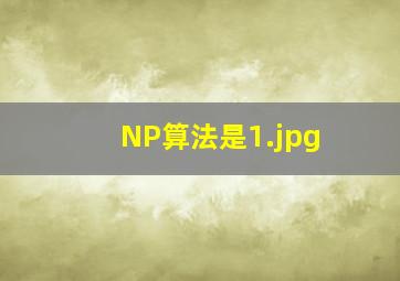 NP算法是