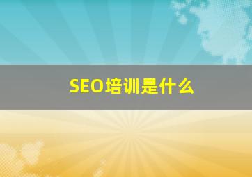 SEO培训是什么