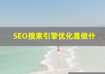 SEO搜索引擎优化是做什