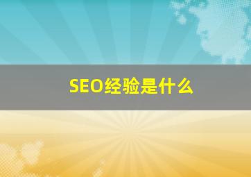 SEO经验是什么