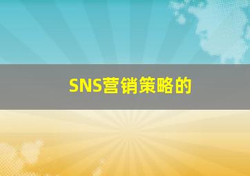 SNS营销策略的
