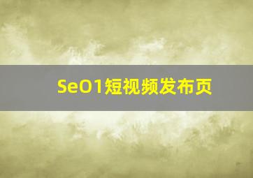 SeO1短视频发布页