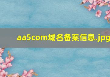aa5com域名备案信息