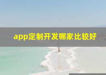 app定制开发哪家比较好