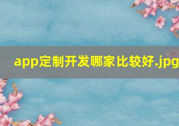 app定制开发哪家比较好