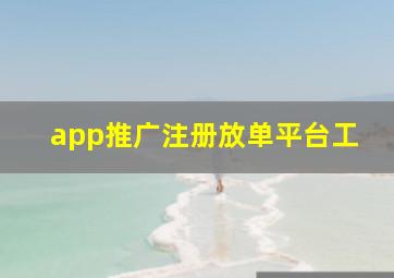 app推广注册放单平台工