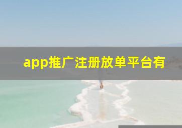 app推广注册放单平台有