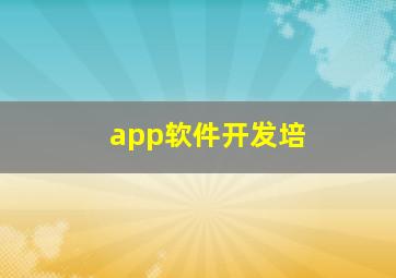app软件开发培