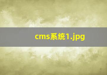 cms系统