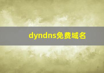dyndns免费域名