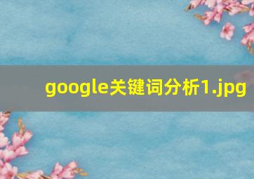 google关键词分析