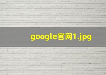 google官网