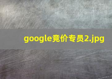 google竞价专员
