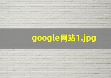 google网站