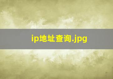 ip地址查询