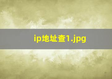 ip地址查