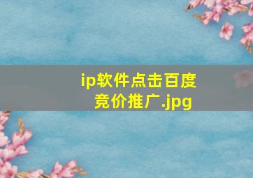 ip软件点击百度竞价推广