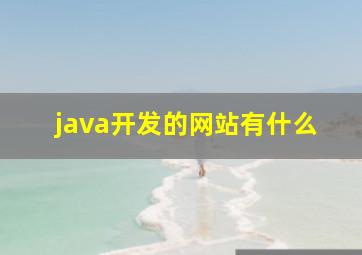 java开发的网站有什么